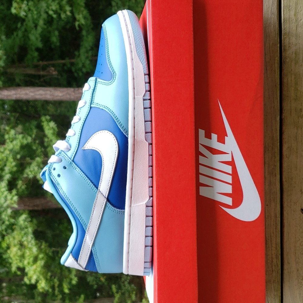 New size men 10 - NIKE DUNK LOW RETRO QS  ARGON (2022)